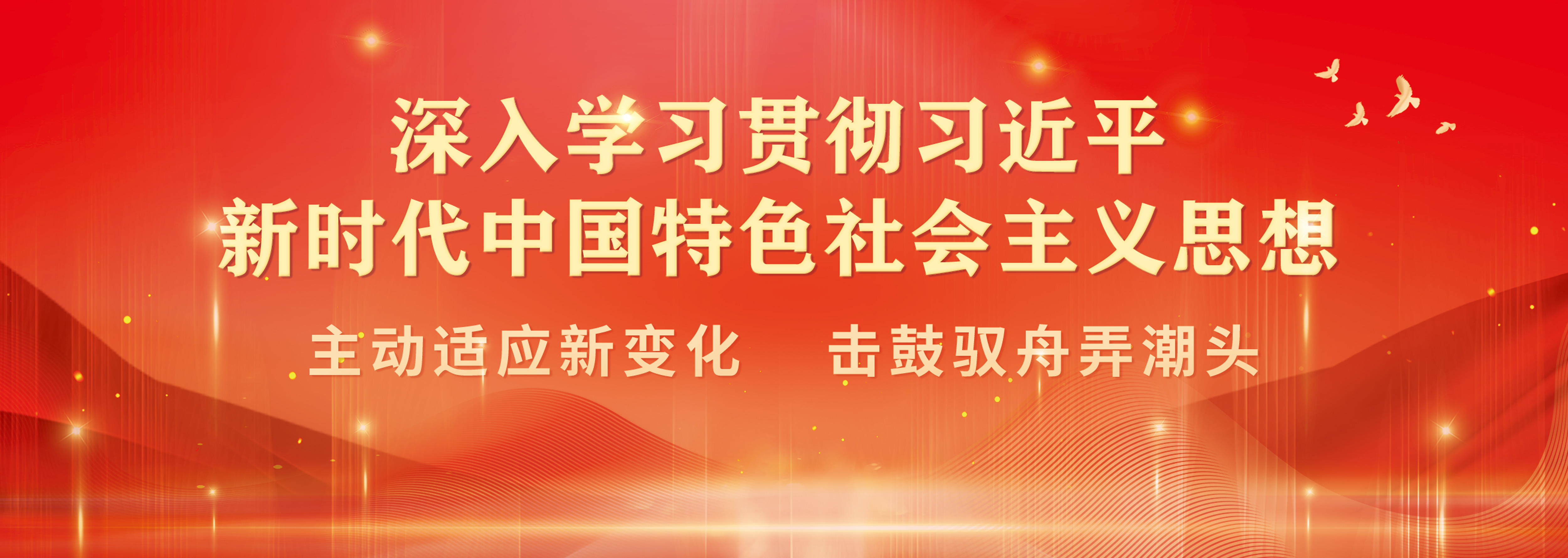 轮播图