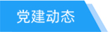 党建动态tab